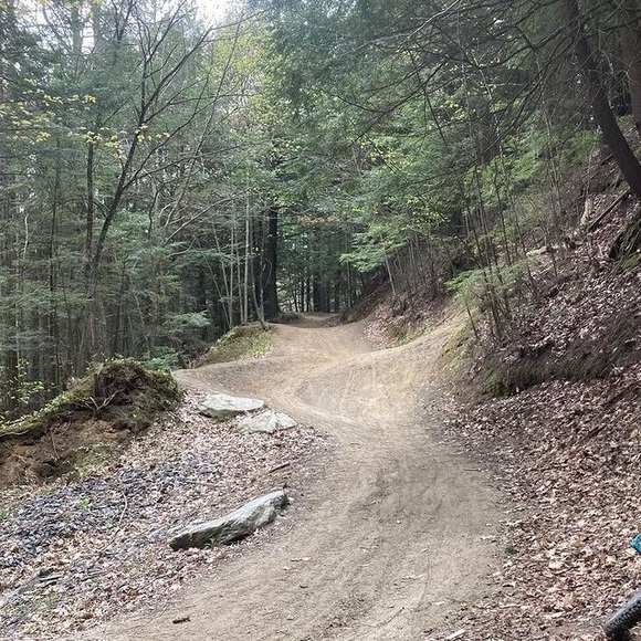 Meet your Posher, Eliza - Picture 4 of 5